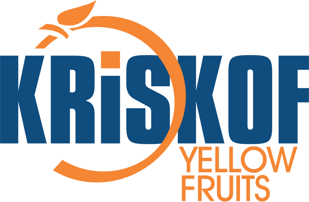 LOGOBEBIDAS_0000_Sem-título-7