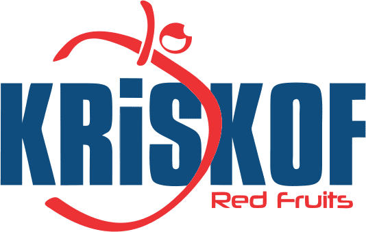 LOGOBEBIDAS_0002_LOGO-AZUL-E-VERMELHO